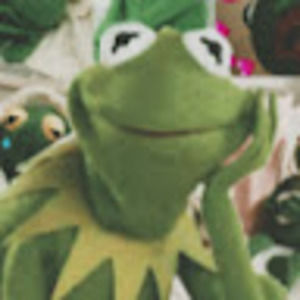 Meet your Posher, Josephine